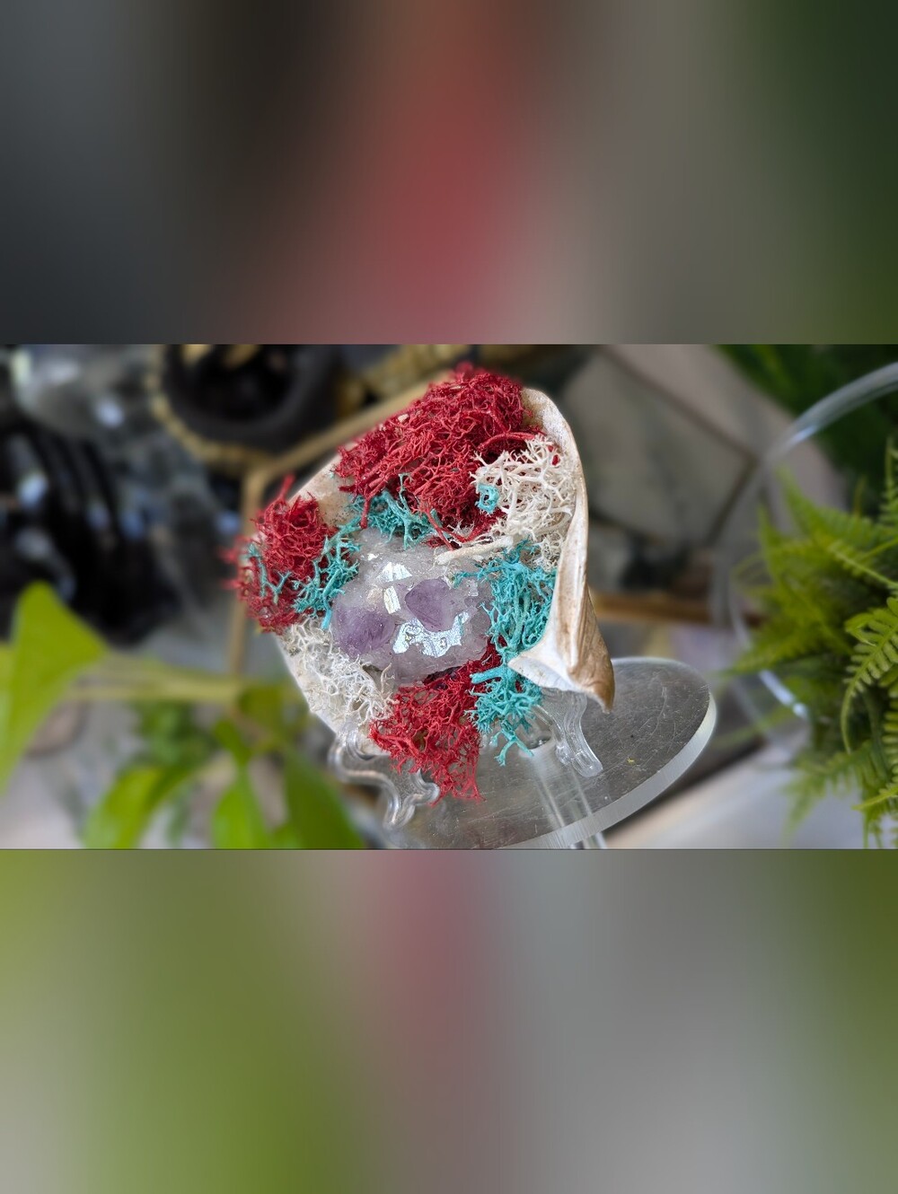 Amethyst & Selenite Crystals in Moss Seashell (stand Included)